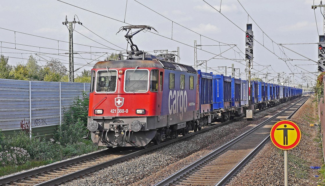 card-image